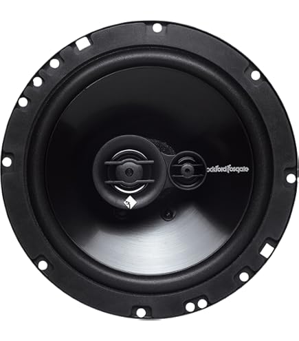 Amazon.com: (2) Rockford Fosgate R165-S 6.5
